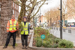 New Rain Gardens Bring Flood Protection 