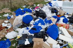 King Street Dry Cleaners Caught Dumping Hazardous Waste