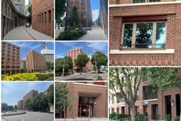 The Hammersmith Society Holds Annual Awards at Latymer Upper